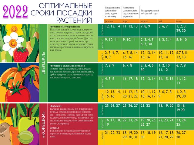 Когда сеять семена на рассаду в 2022 году и как правильно выращивать